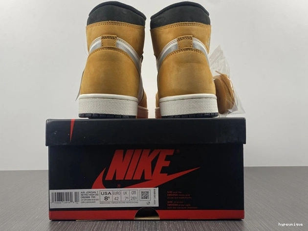 HYPE Element Jordan1 DB2889- Curry Gore-Tex 3707 Stylish Light 1014